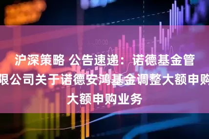 沪深策略 公告速递：诺德基金管理有限公司关于诺德安鸿基金调整大额申购业务